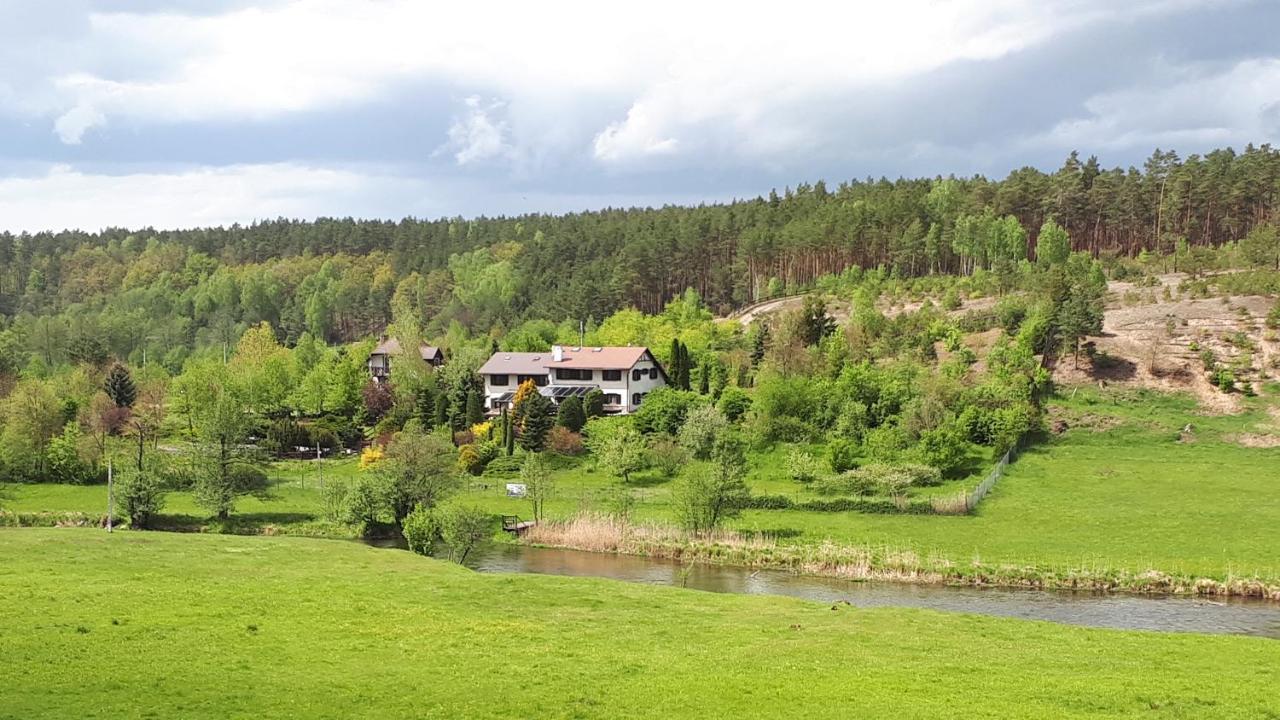 Jeleniec *