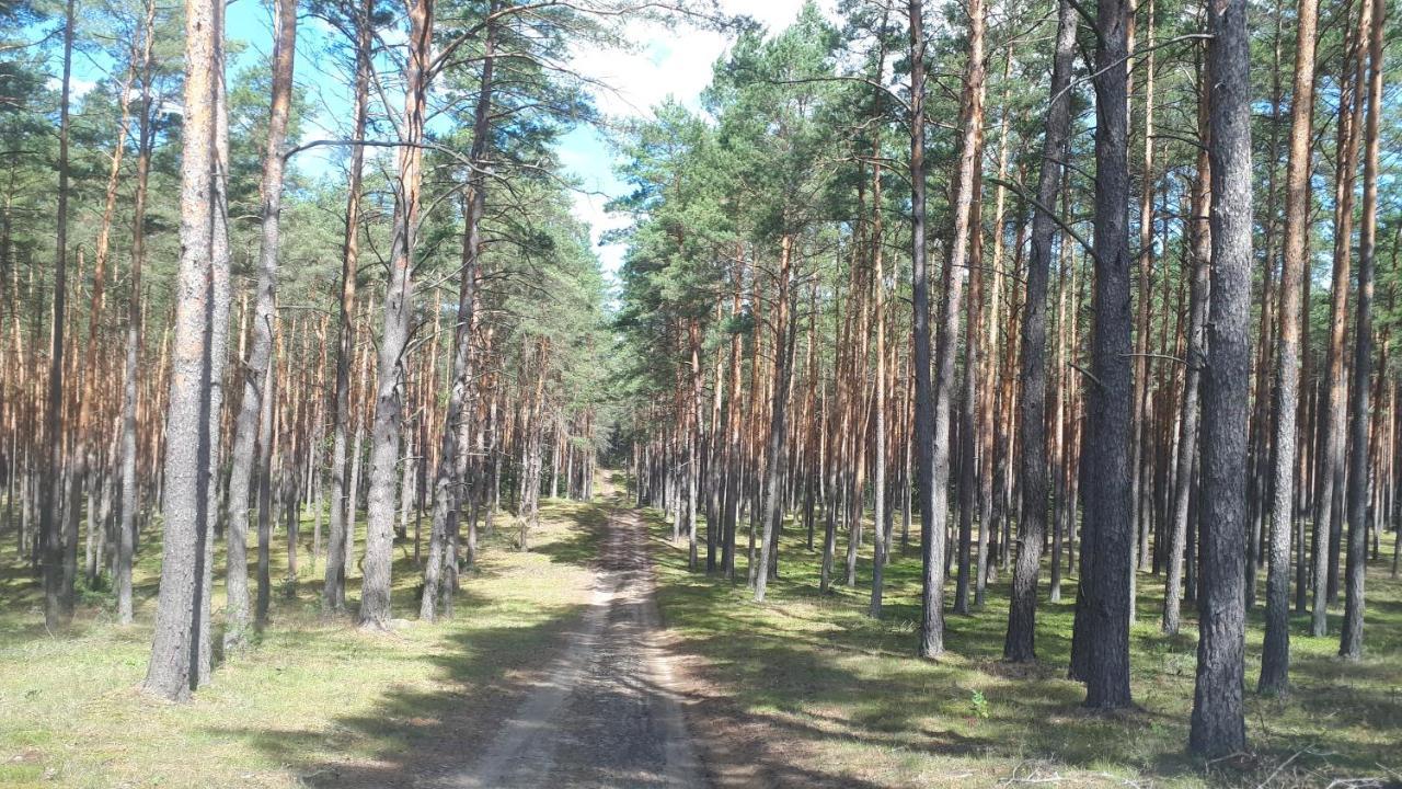 Jeleniec Holiday home *